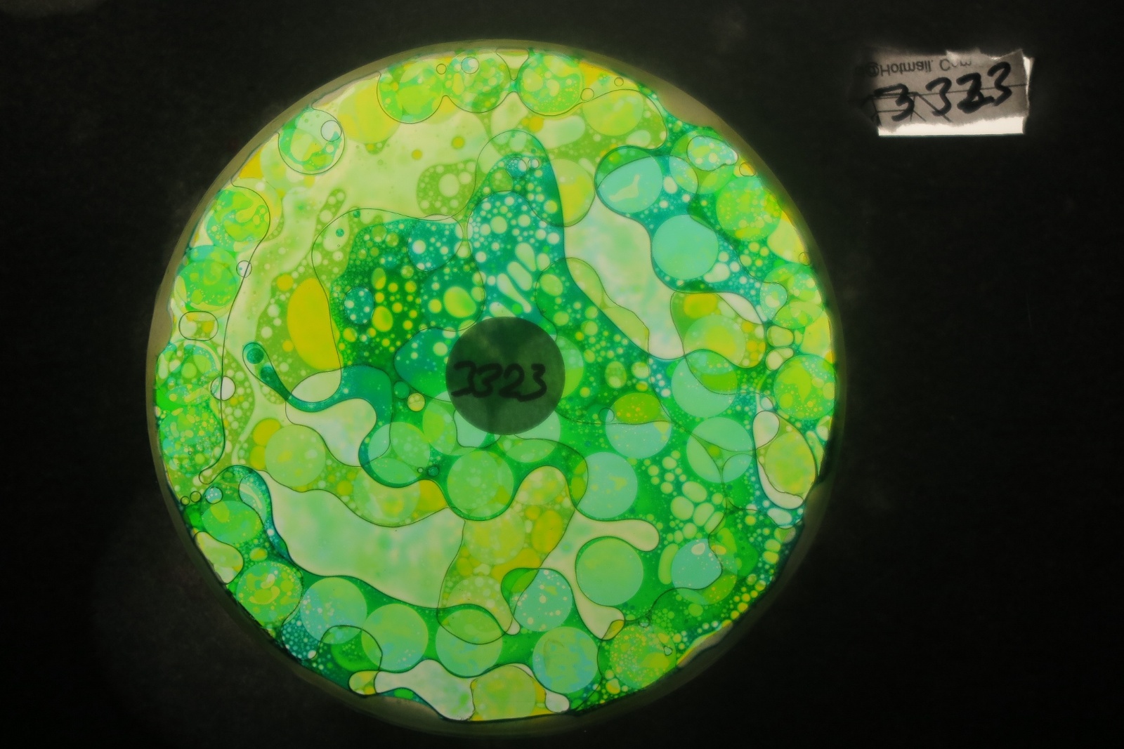 BV3323 bubble vision oil wheel